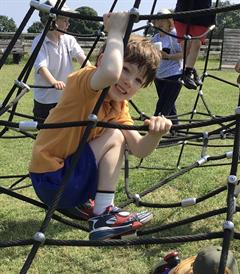 Fun at the Farm