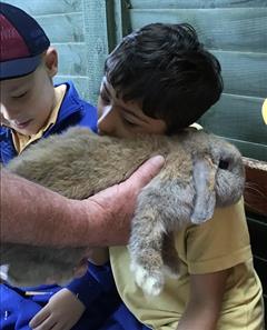 Fun at the Farm