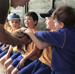 Fun at the Farm