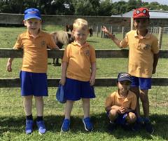 Fun at the Farm