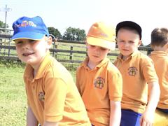 Fun at the Farm