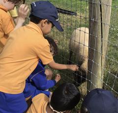 Fun at the Farm