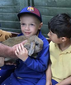 Fun at the Farm