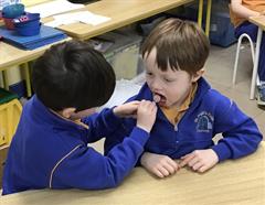 A Visit from the Dentist