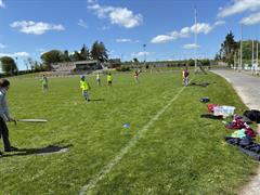 Rounders