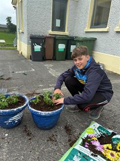Green Schools - Planting