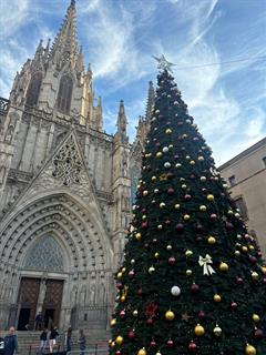 Erasmus+ Staff Mobility to Catalonia: How Timely