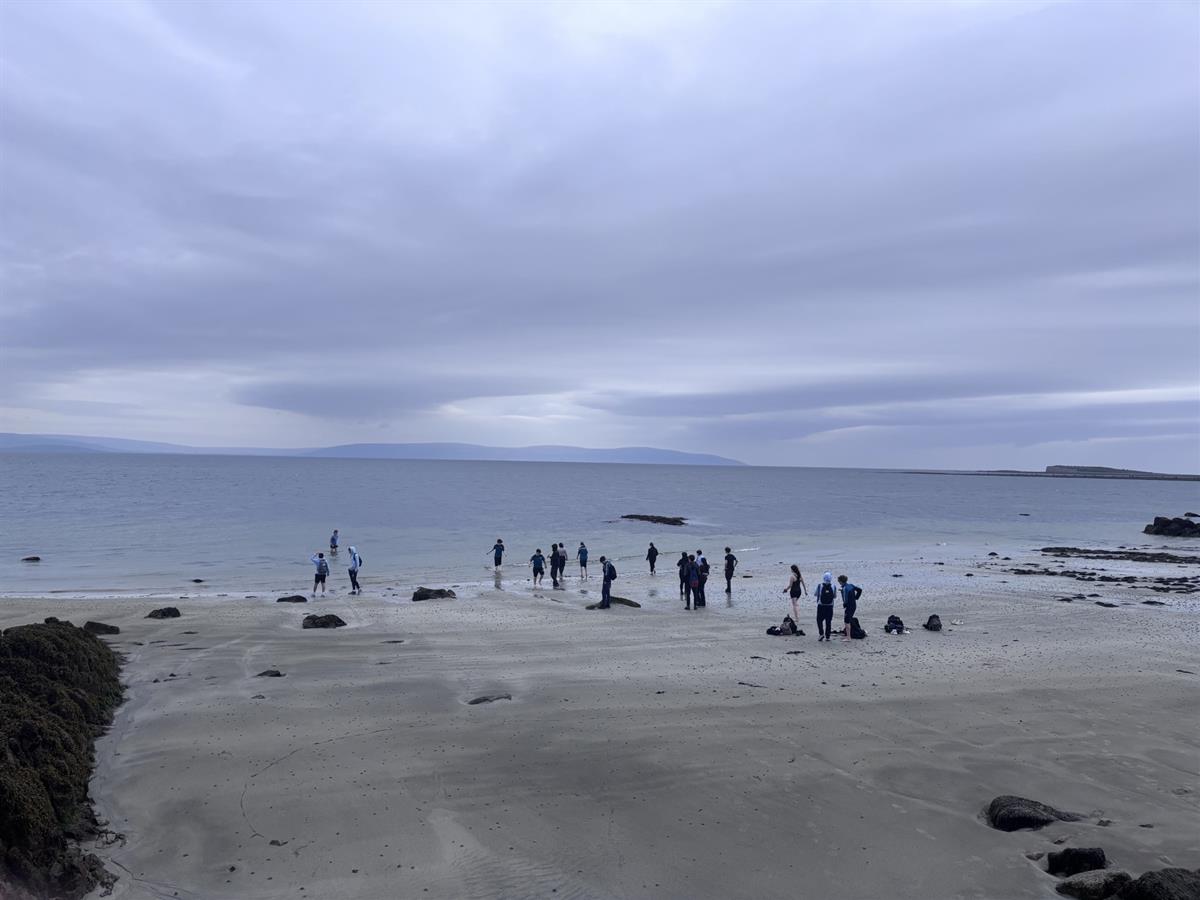 TY Visit to Galway & Aquarium