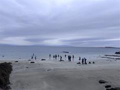 TY Visit to Galway & Aquarium