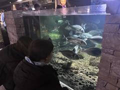 TY Visit to Galway & Aquarium
