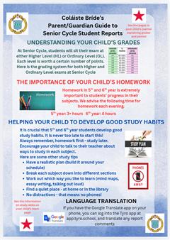 Understanding your Child