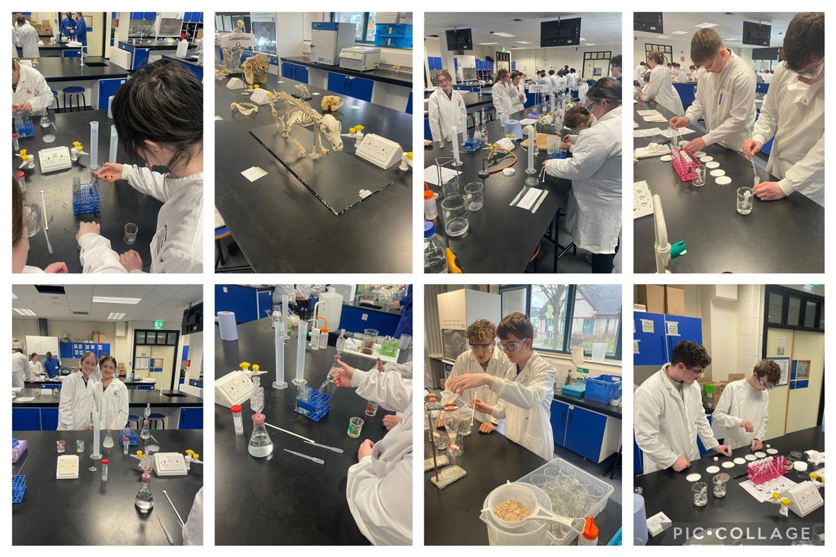 6th Year Maynooth Biology Labs