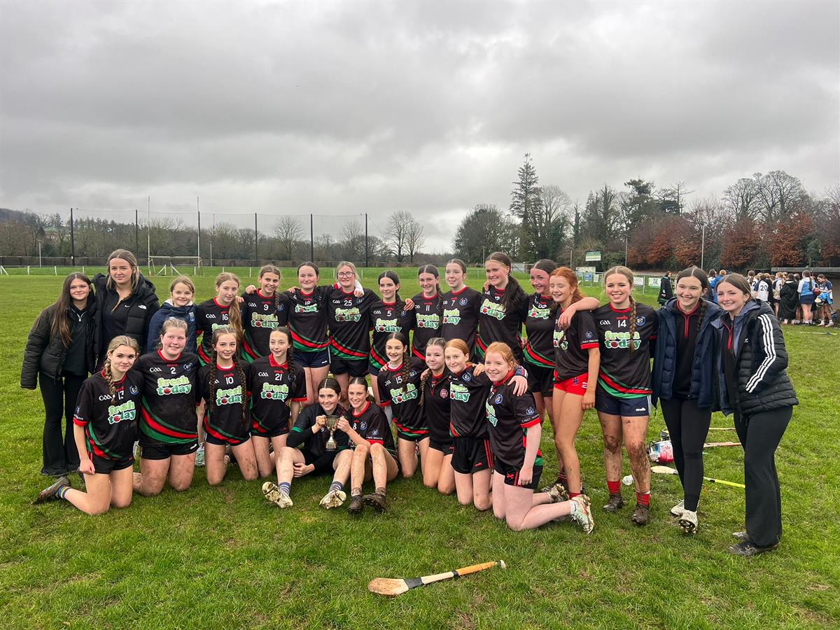 Senior and Junior Camogie Reflections