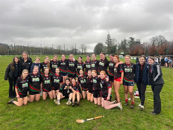 Senior and Junior Camogie Reflections