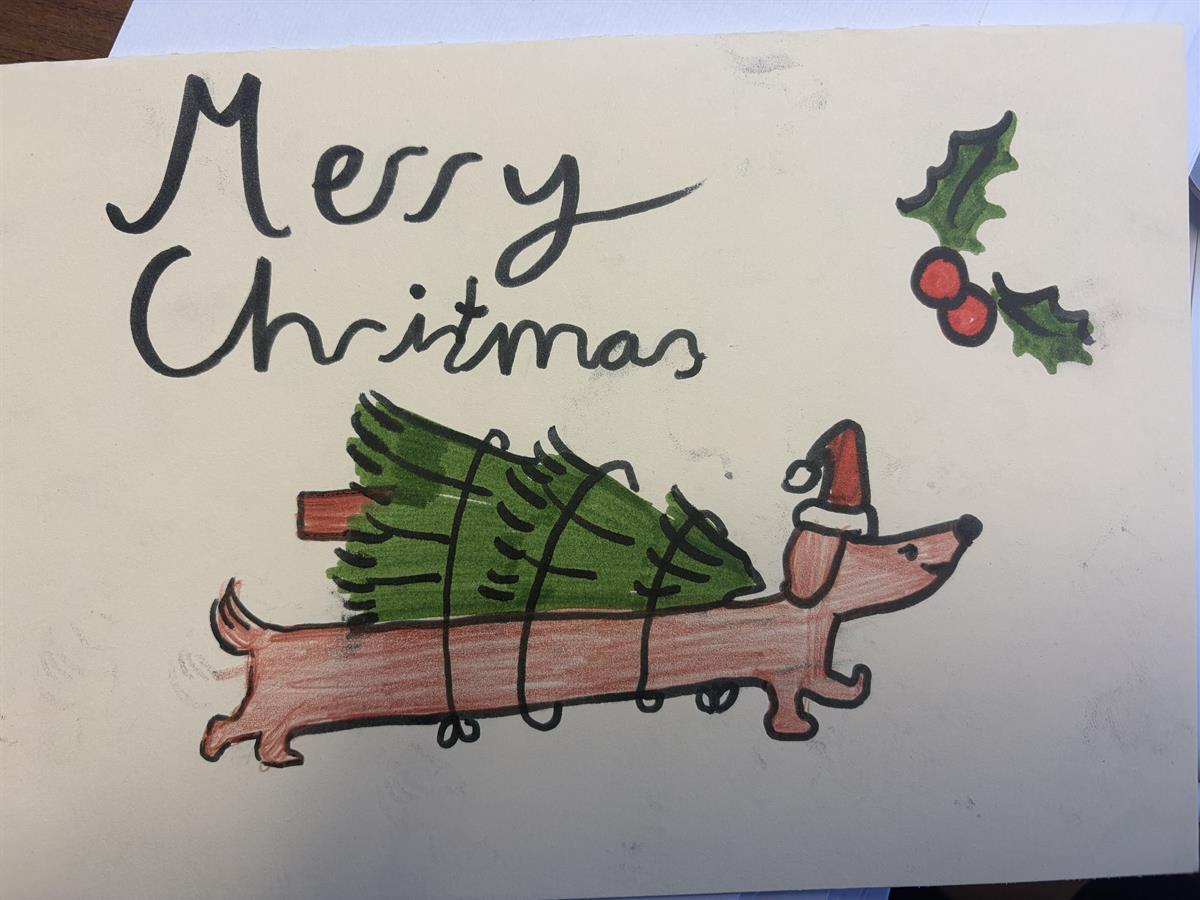 Students Share Christmas Cheer Through The Carepack.ie Campaign