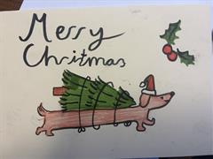 Students Share Christmas Cheer Through The Carepack.ie Campaign