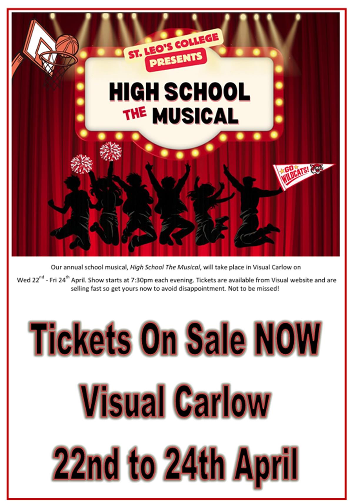 Transition Year Musical
