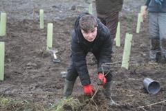 175 crann curtha i bpáirc na scoile! Nollaig 2025