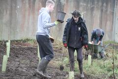 175 crann curtha i bpáirc na scoile! Nollaig 2025