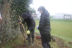 175 crann curtha i bpáirc na scoile! Nollaig 2025