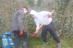 175 crann curtha i bpáirc na scoile! Nollaig 2025