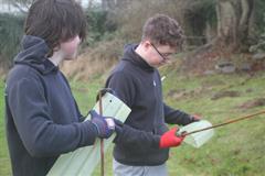 175 crann curtha i bpáirc na scoile! Nollaig 2025