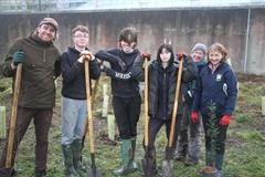 175 crann curtha i bpáirc na scoile! Nollaig 2025