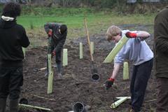 175 crann curtha i bpáirc na scoile! Nollaig 2025