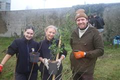 175 crann curtha i bpáirc na scoile! Nollaig 2025