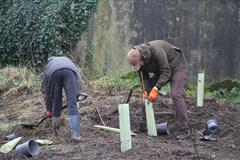 175 crann curtha i bpáirc na scoile! Nollaig 2025