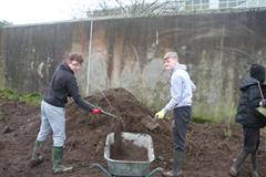 175 crann curtha i bpáirc na scoile! Nollaig 2025