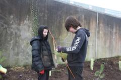 175 crann curtha i bpáirc na scoile! Nollaig 2025