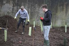 175 crann curtha i bpáirc na scoile! Nollaig 2025