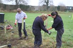 175 crann curtha i bpáirc na scoile! Nollaig 2025