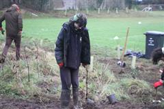 175 crann curtha i bpáirc na scoile! Nollaig 2025