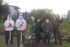 175 crann curtha i bpáirc na scoile! Nollaig 2025