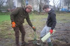 175 crann curtha i bpáirc na scoile! Nollaig 2025