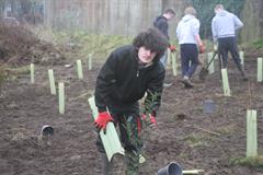 175 crann curtha i bpáirc na scoile! Nollaig 2025