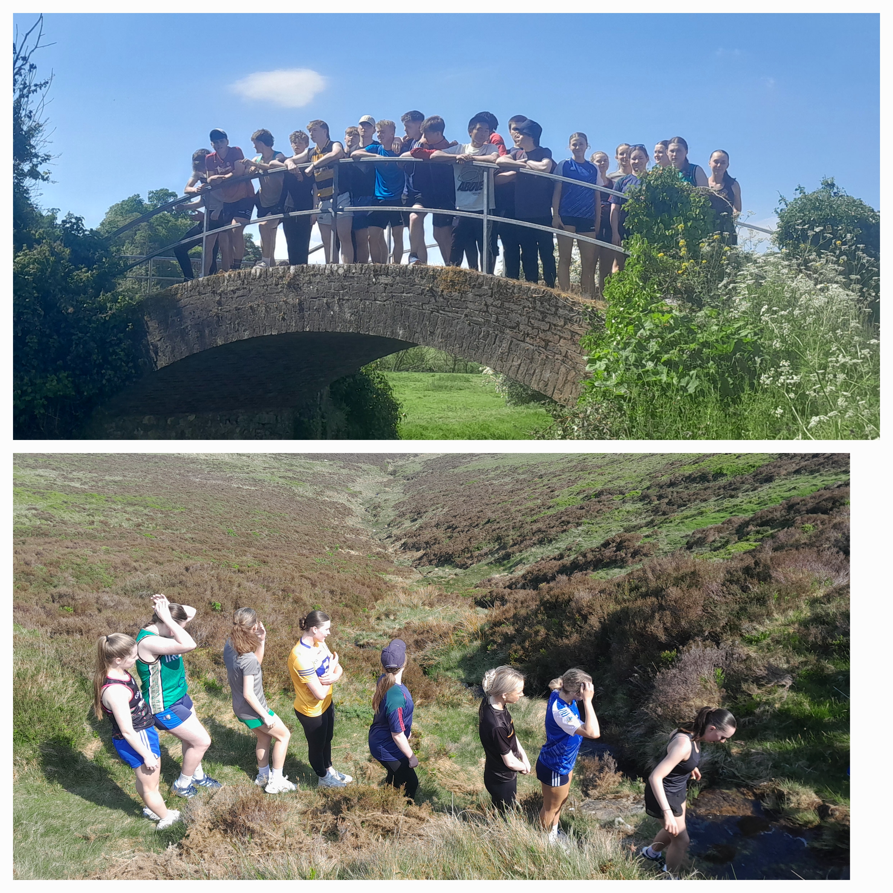 Columban Way Collage.jpg