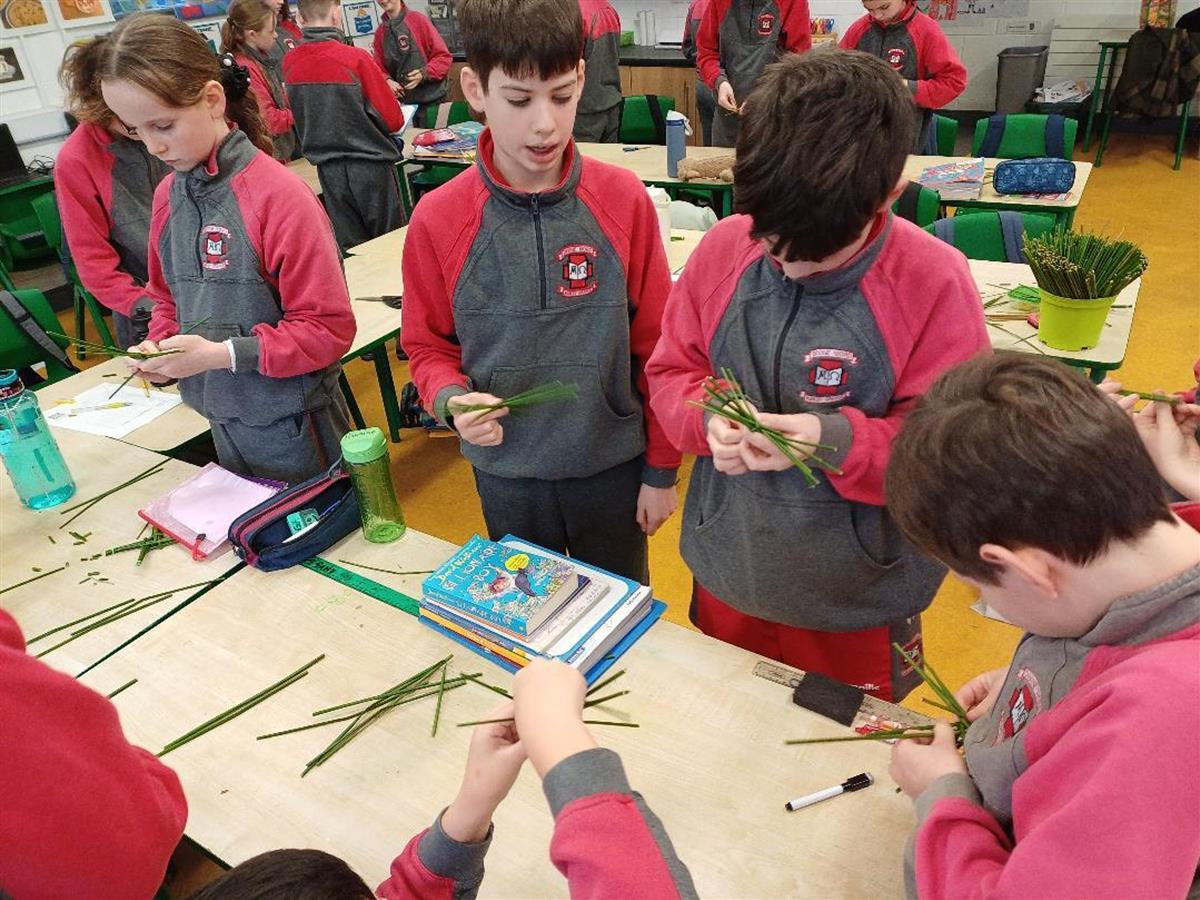 St. Brigid in Rang a 5