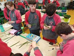 St. Brigid in Rang a 5