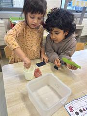 Science in Junior Infants