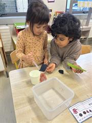 Science in Junior Infants