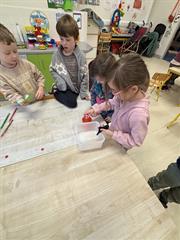 Science in Junior Infants