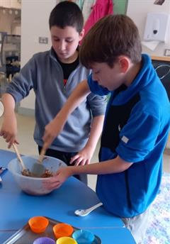 First Term in the Treehouse Classes!