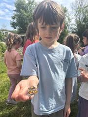Butterflies!