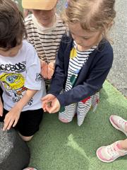 Butterfly Release