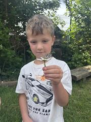 Butterflies!