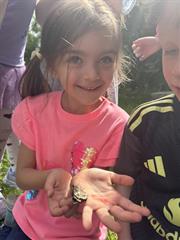Butterflies!