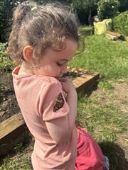 Butterflies!